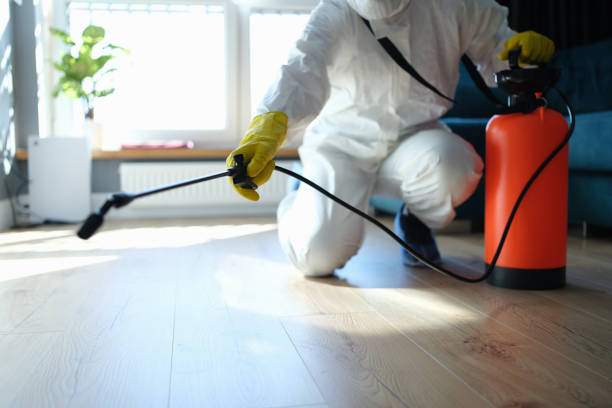 Reliable Blood Cleanup contractor in Harrison, ID by Trauma Clean Pros